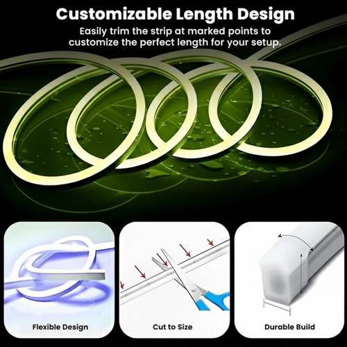 Neon smart rgb ic 1000